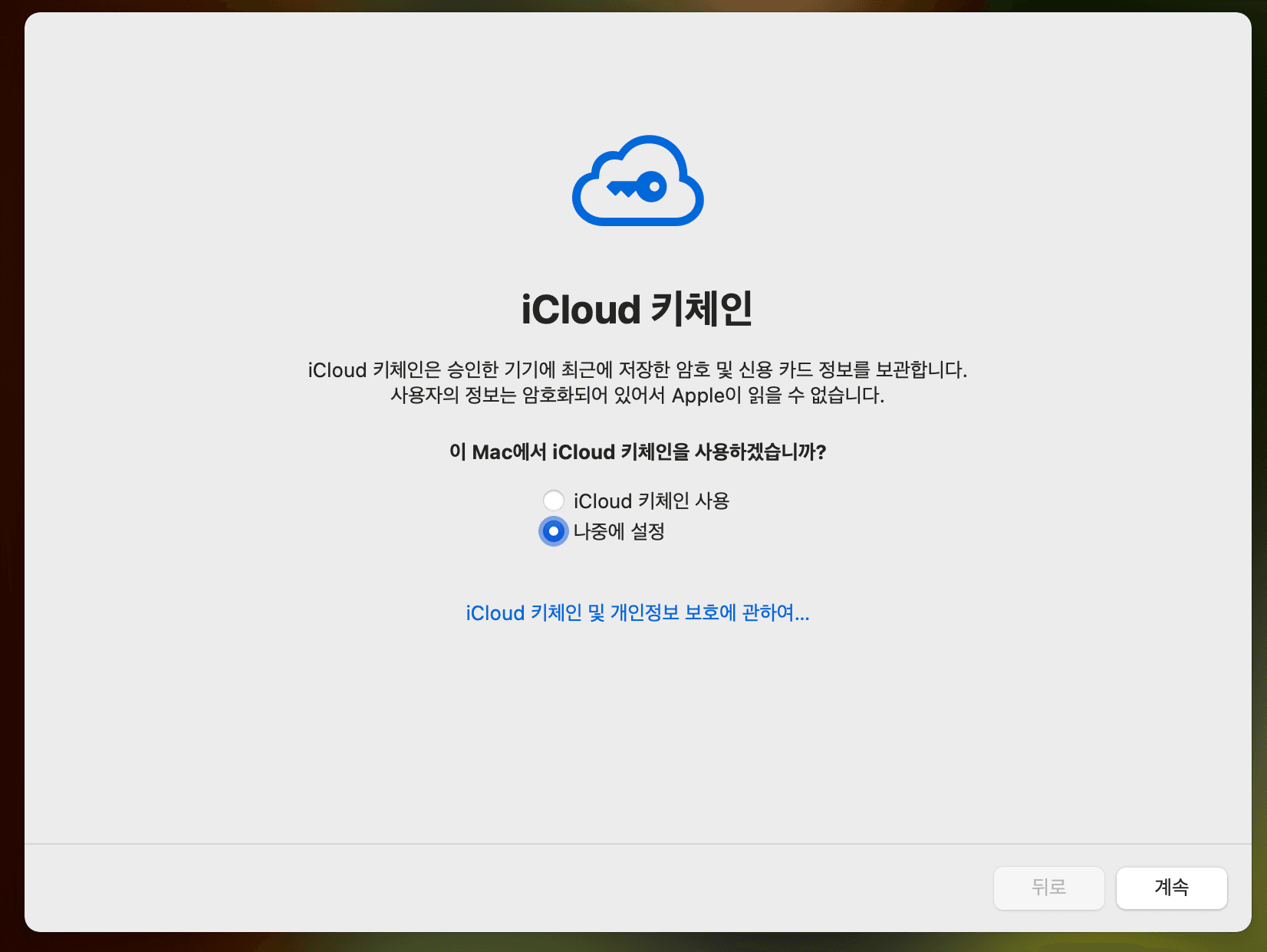 초기화 - iCloud 키체인 - 나중에 설정